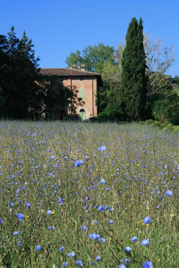 Galluzzo Ancient Country Villa Casalecchio Di Reno Luaran gambar